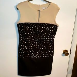 Sheath dress perfect for work and it great condition.